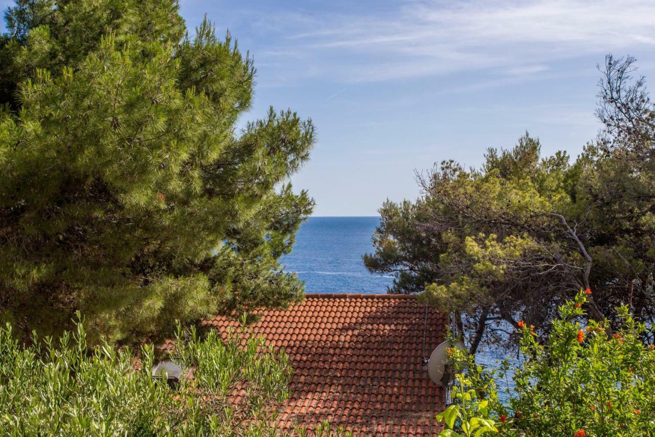 Apartments Gilve Hvar Town Eksteriør billede